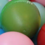 cropped-IMG_7766.jpg